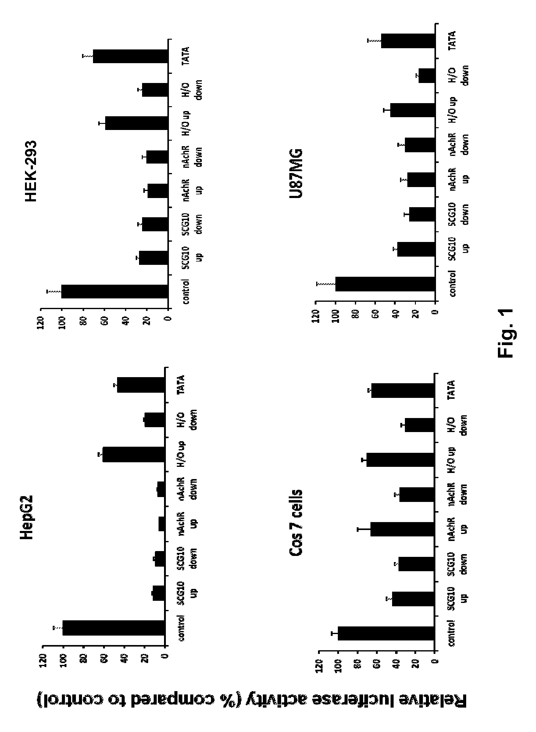 Modified INSM1-promoter for neuroendocrine tumor therapy and diagnostics