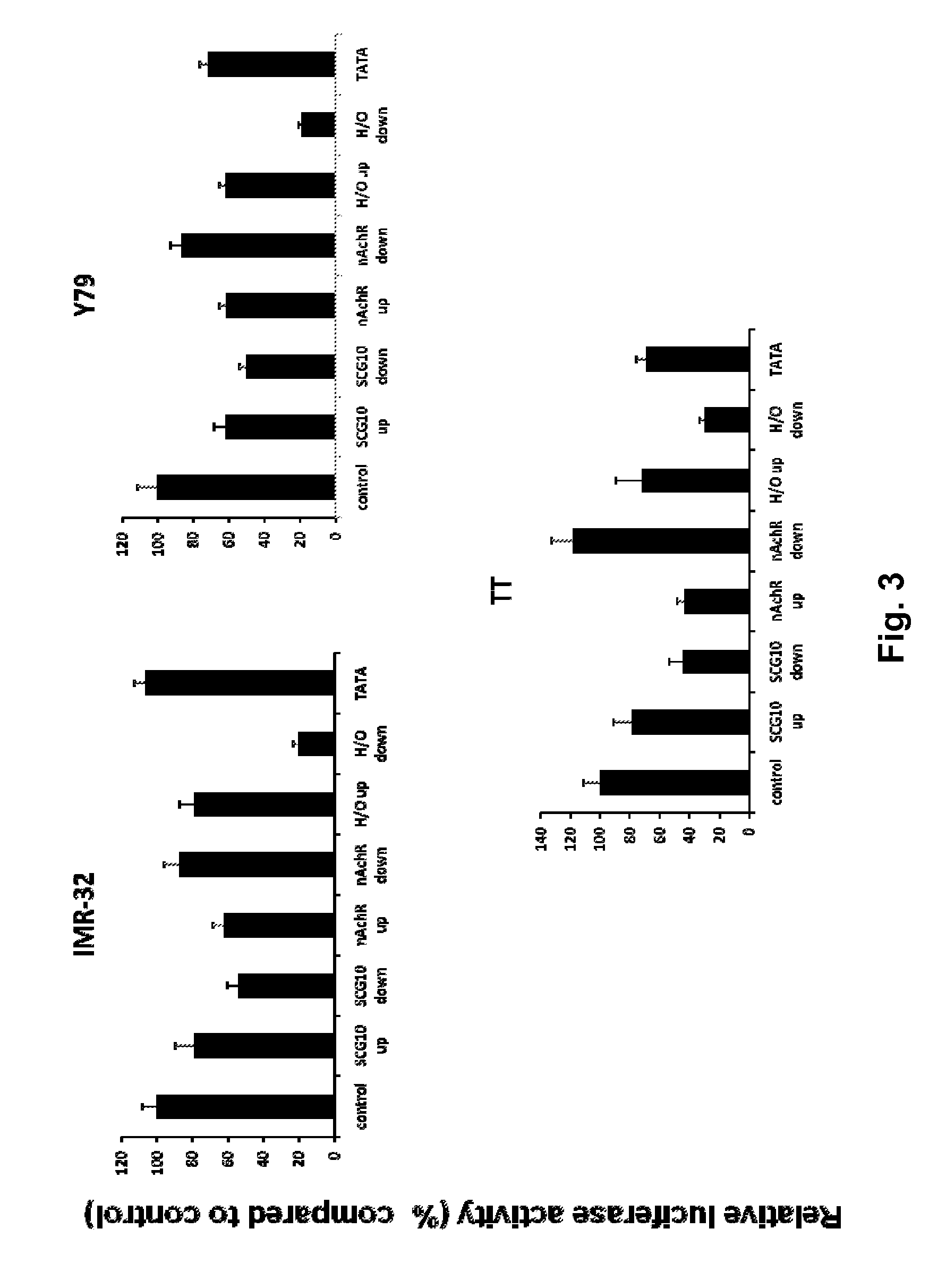 Modified INSM1-promoter for neuroendocrine tumor therapy and diagnostics