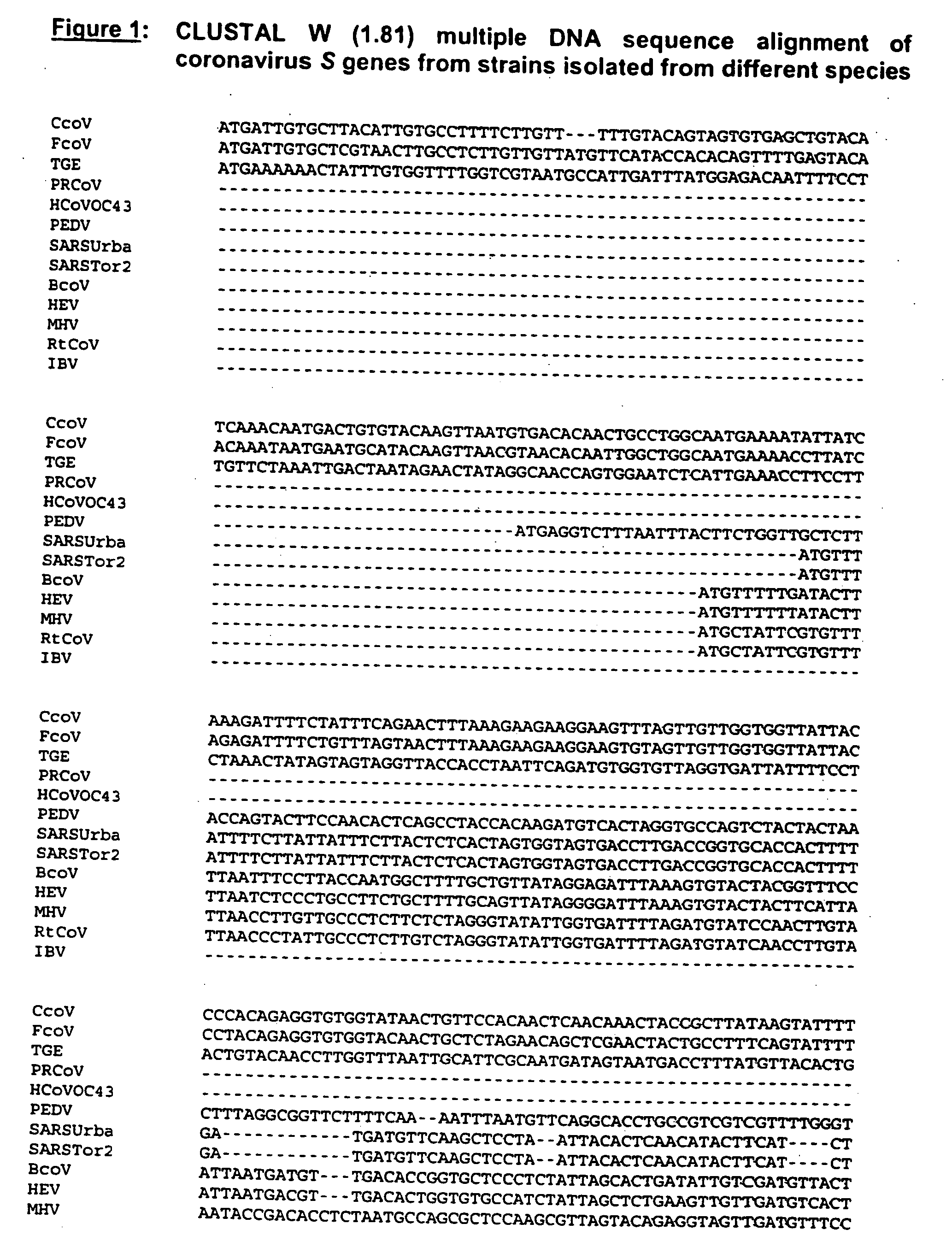 Multi-allelic molecular detection of SARS-associated coronavirus