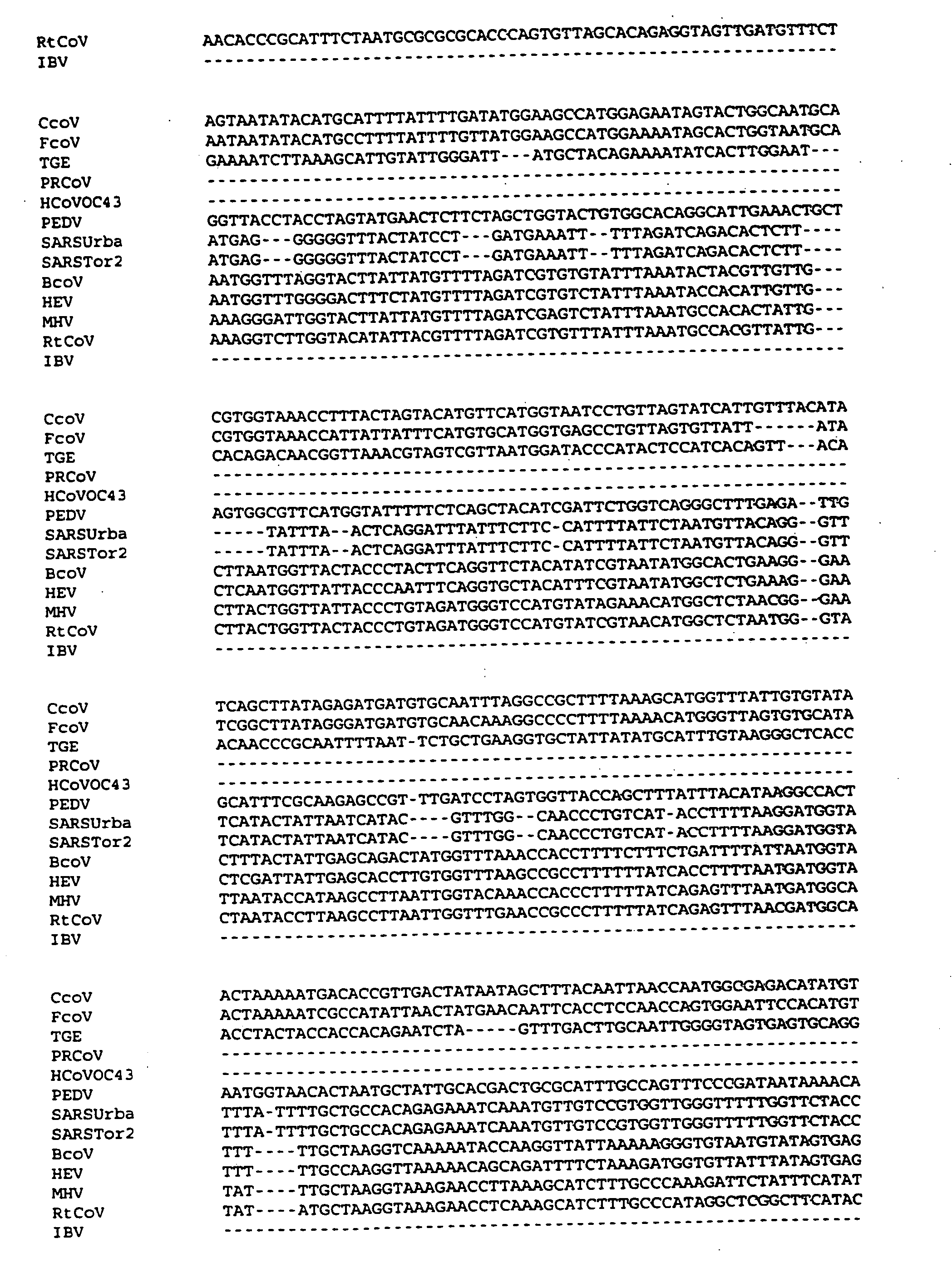 Multi-allelic molecular detection of SARS-associated coronavirus