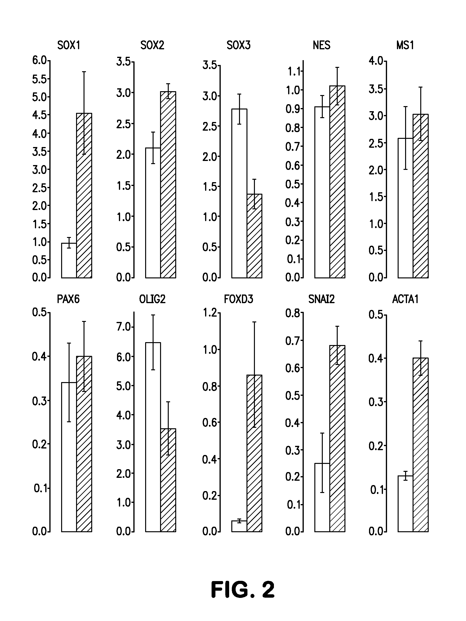 Methods and compositions of producing patient-specific multipotent neuronal stem cells