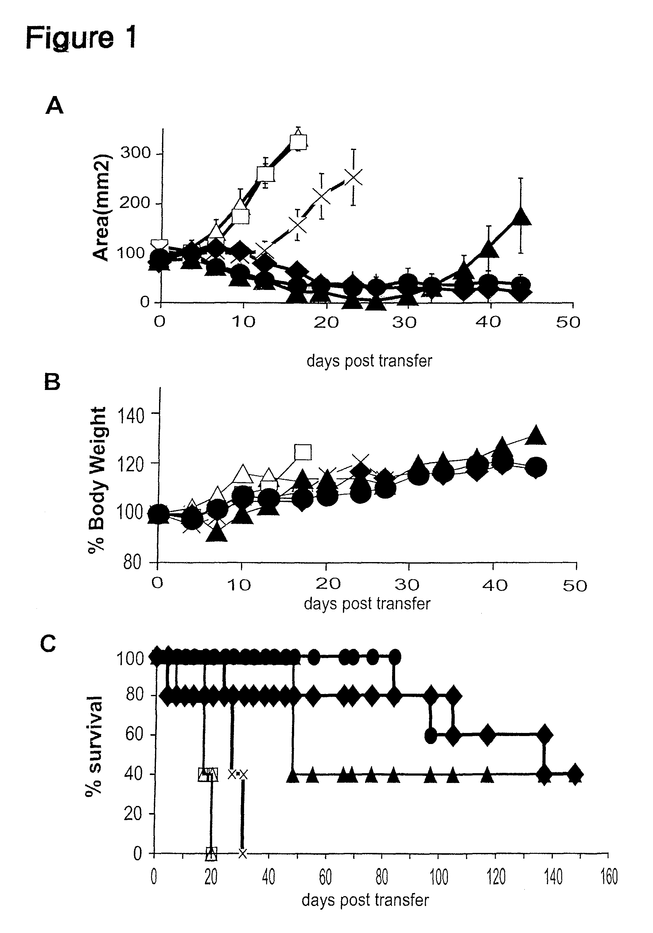 Inducible interleukin-12