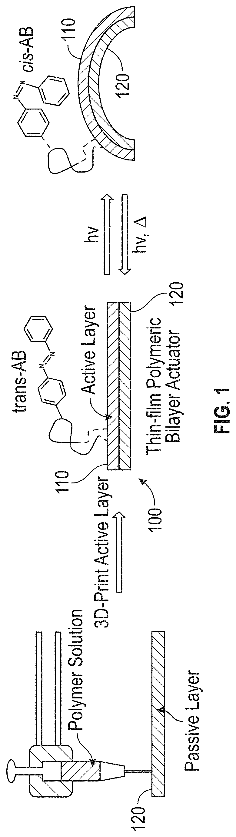 Externally Activated Shape Changing Device