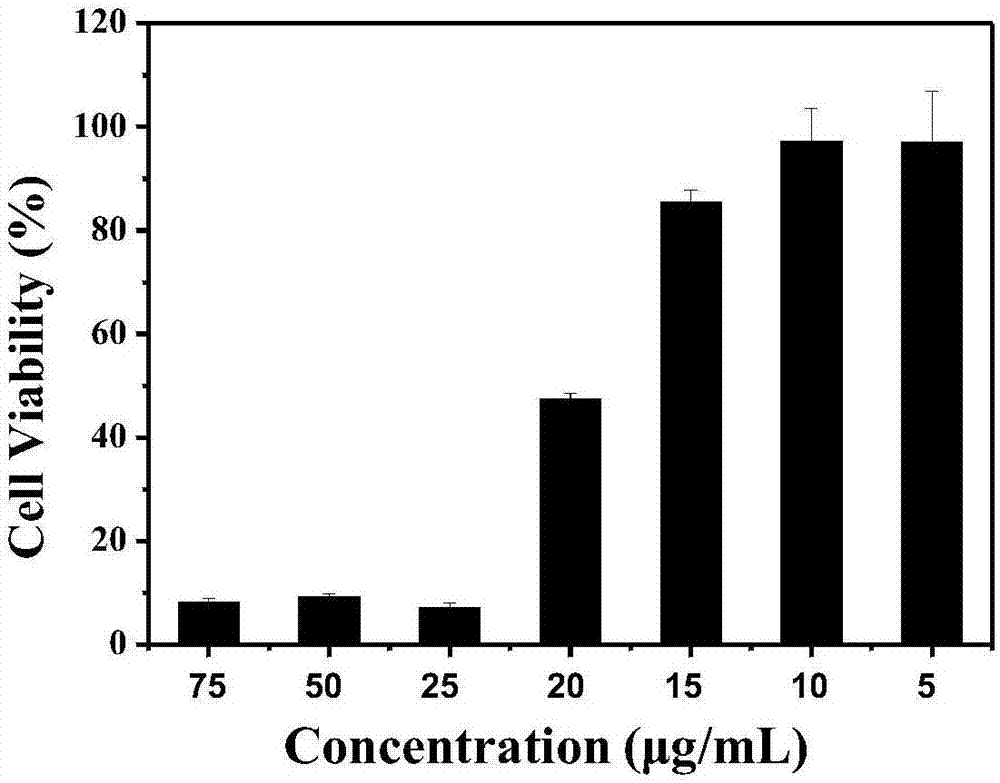 Polyphenol-based coordination polymer nano-particle and preparation method thereof