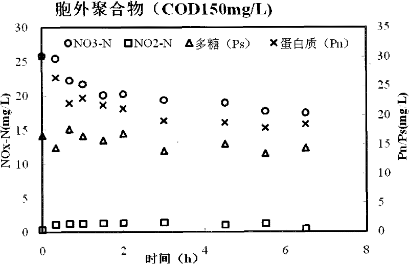 Membrane bioreactor for denitrification and waste water denitrification method