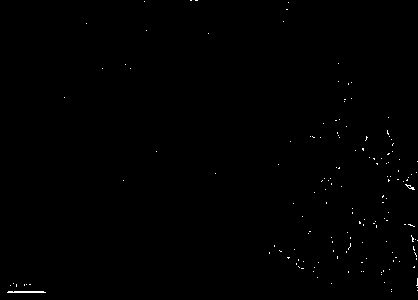 A kind of preparation method of nano ruthenium carbon supported catalyst