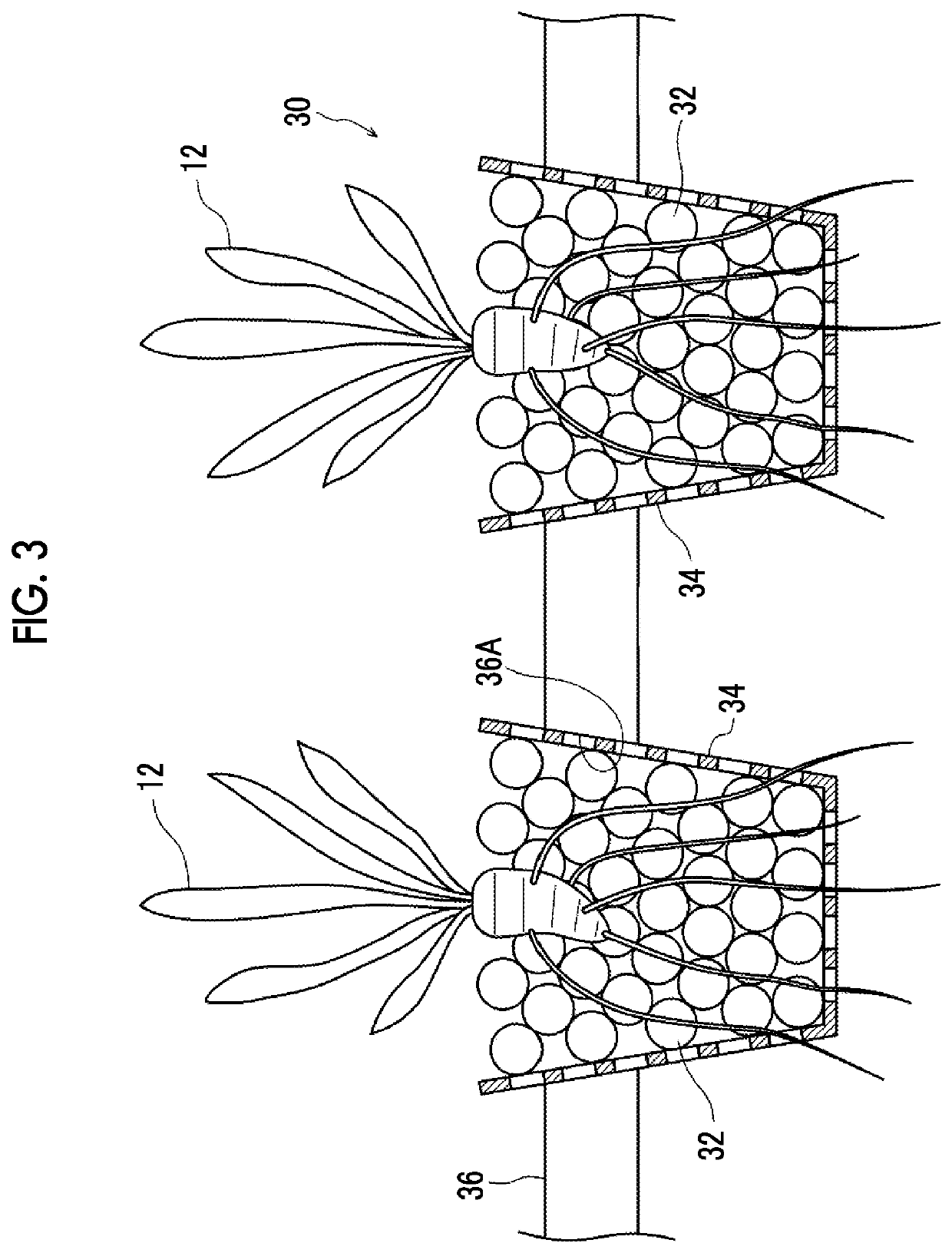 Water purification particles, water culture apparatus, and water purification apparatus