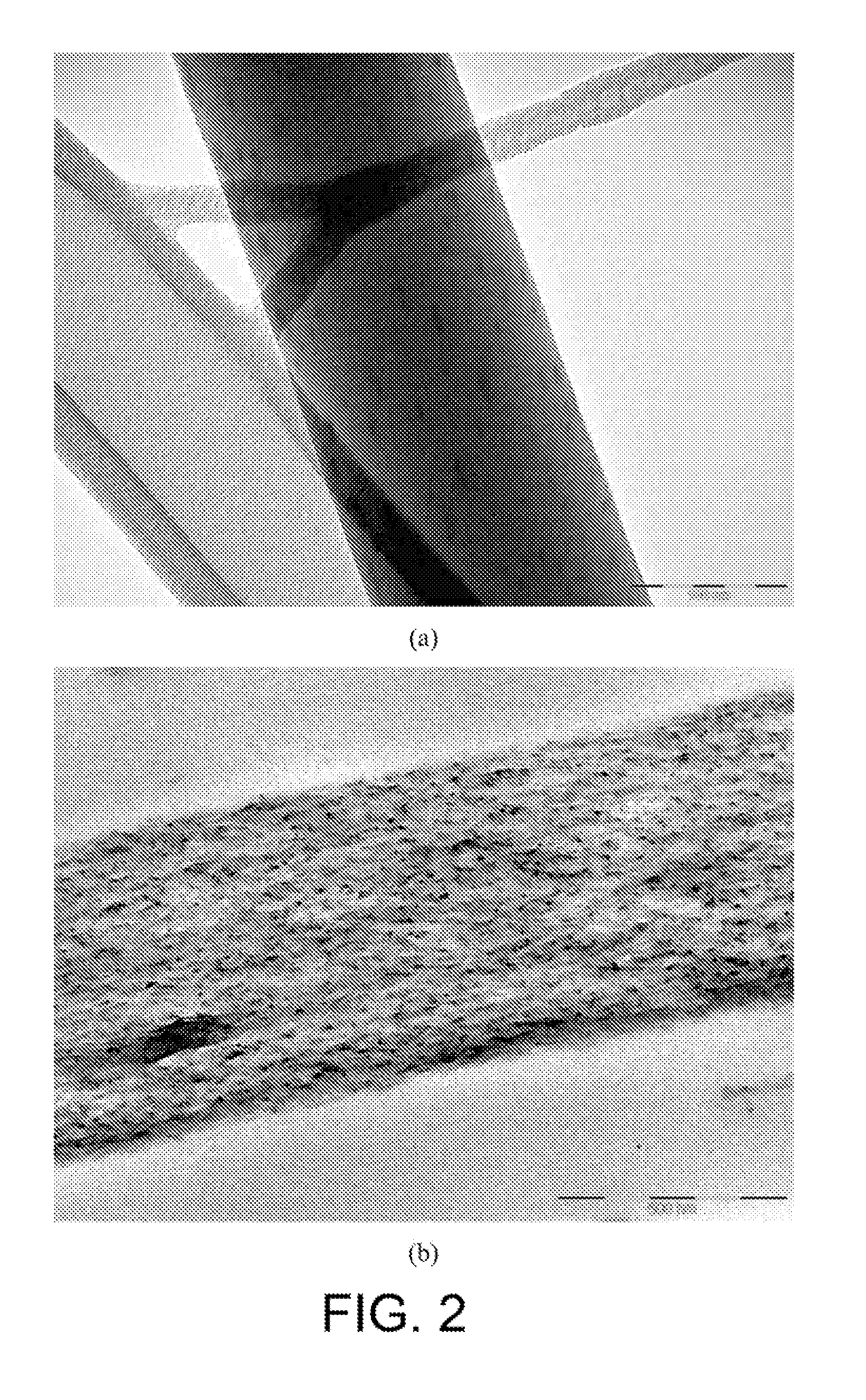 Biodegradable chemical delivery system