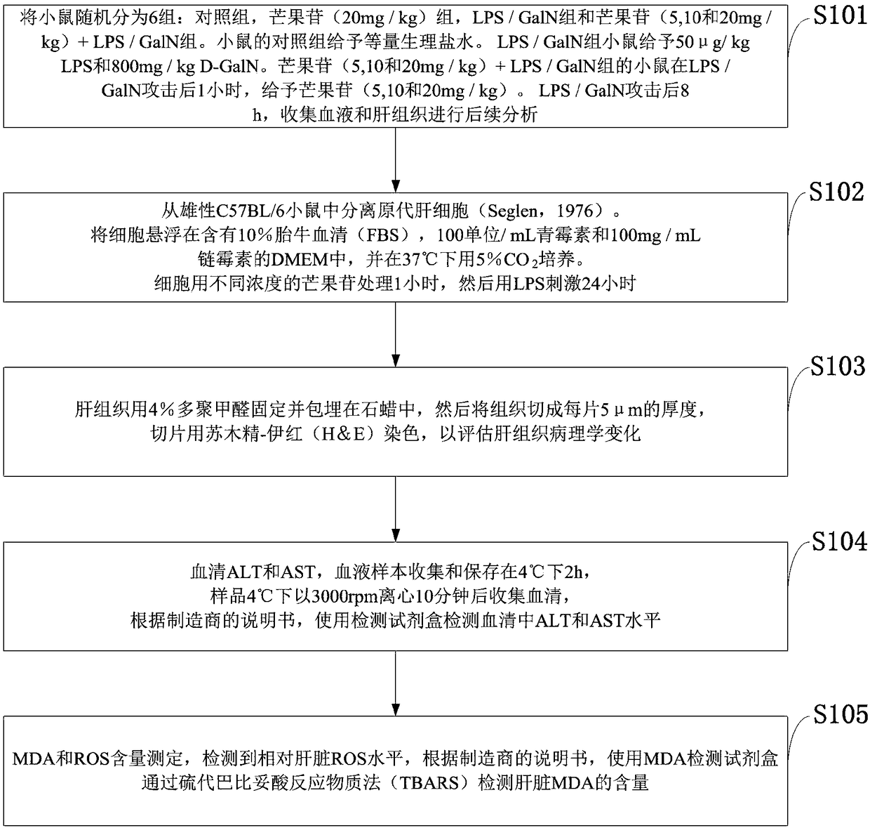 Lipopolysaccharide D galactosamine-induced liver injury animal protection model and construction method thereof