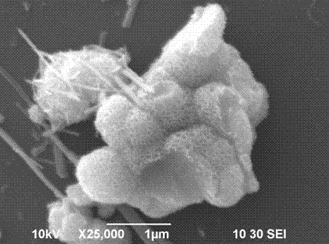 Hollow honeycomb MnO2/C micro nanosphere and microrod preparation method