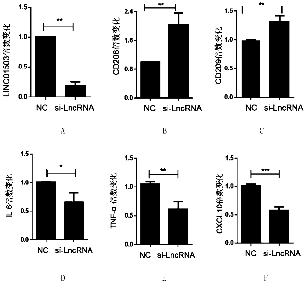 Application of LINC01503 serving as therapeutic target to preparation of medicines for treatment of pediatric asthma