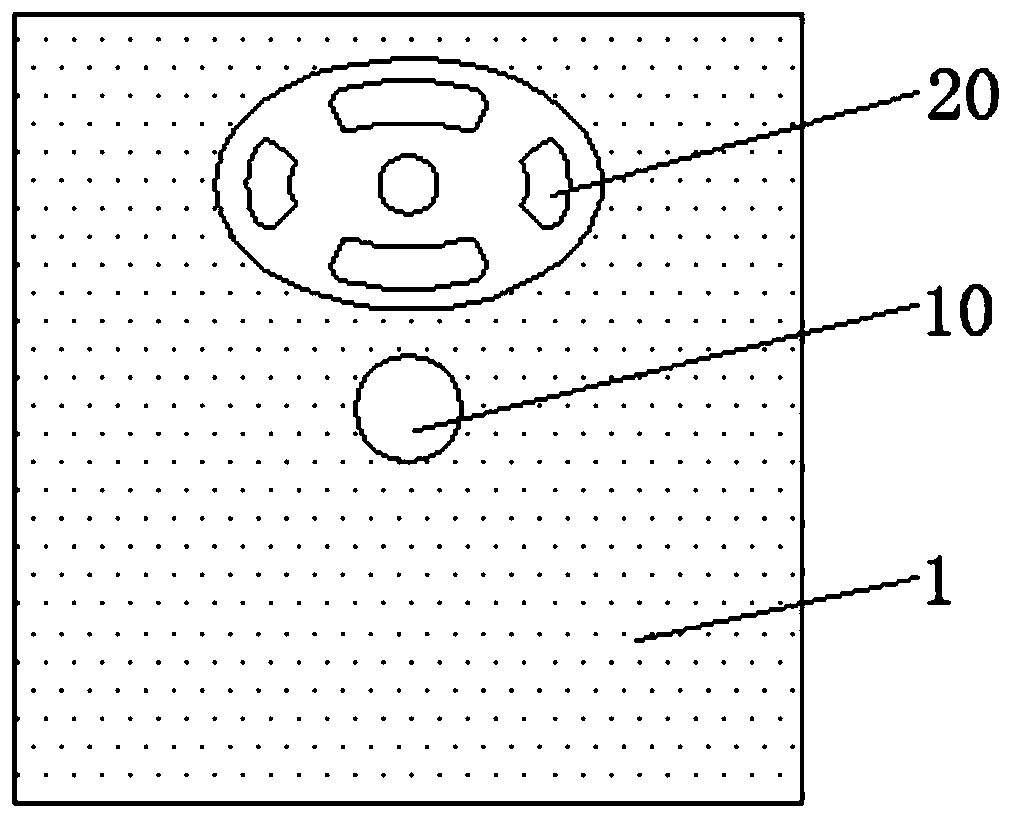 Convenient and practical instant biological gene detection kit