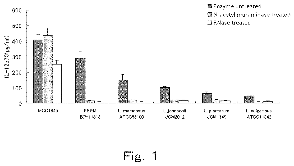 Lactic acid bacterium, drug, food or drink, and feed which contain the lactic acid bacterium