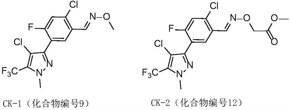 Phenylisoxazoline compound and application thereof