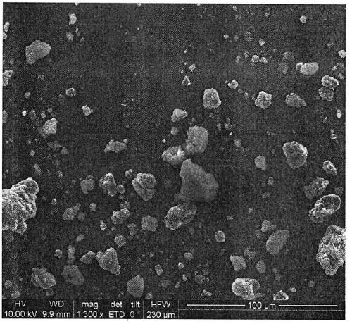 Kit and method for drug-related gene typing detection of warfarin