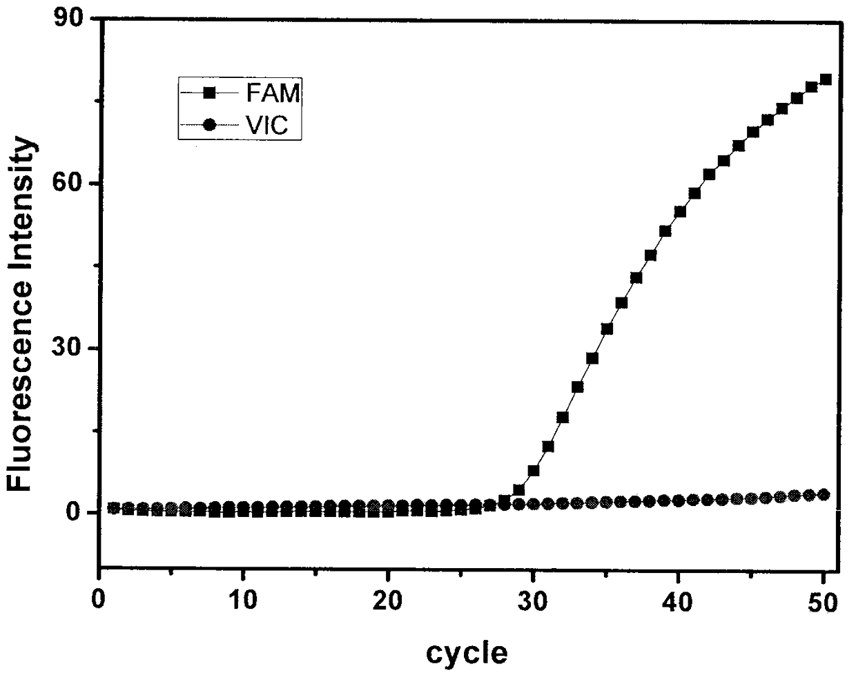 Kit and method for drug-related gene typing detection of warfarin