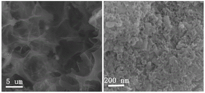 Preparation method of cadmium sulfide carbon-based composite material serving as photoelectric catalyst