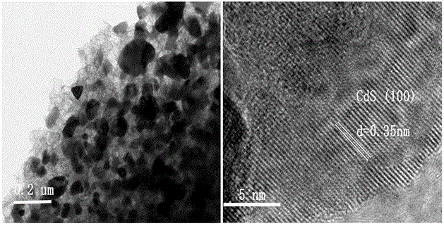 Preparation method of cadmium sulfide carbon-based composite material serving as photoelectric catalyst