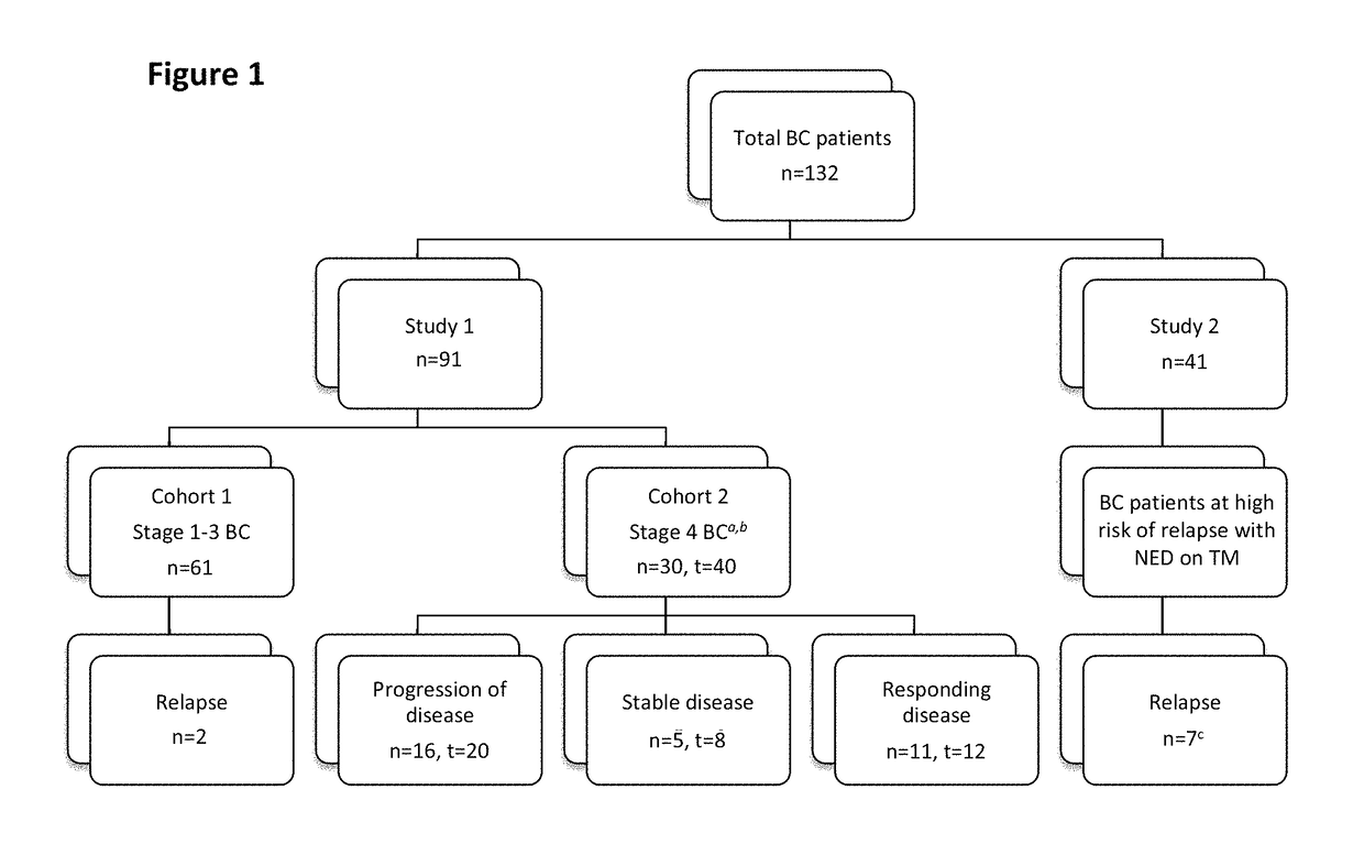 Bone marrow-derived hematopoietic progenitor cells and endothelial progenitor cells as prognostic indicators for cancer