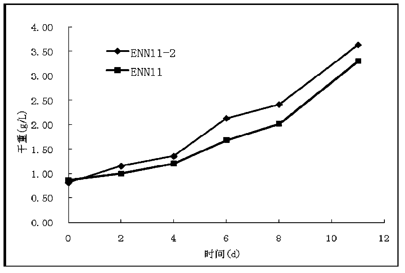 Nannochloropsis sp. mutant strain, and applications thereof