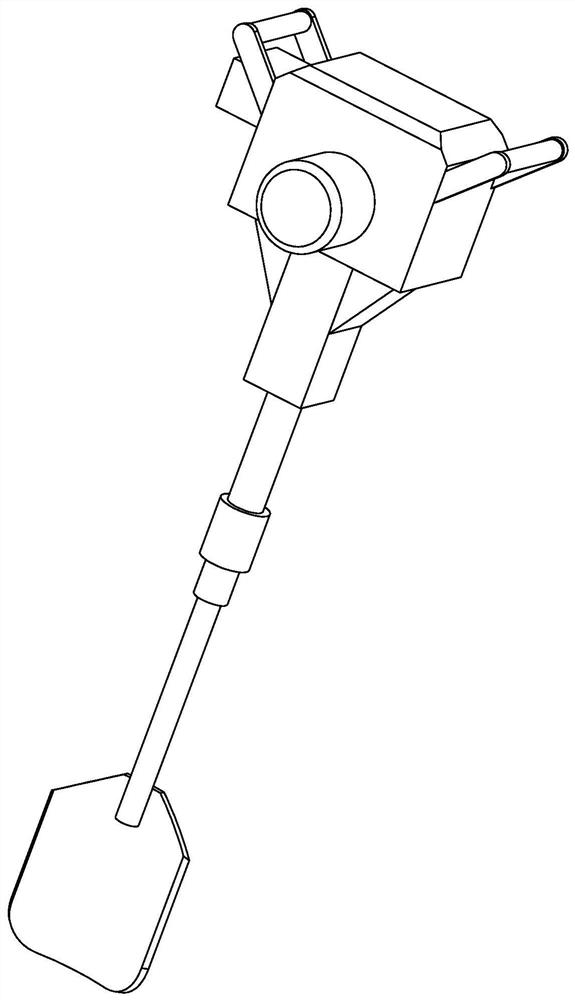 Tree transplanting structure for water conservancy project, and transplanting method thereof