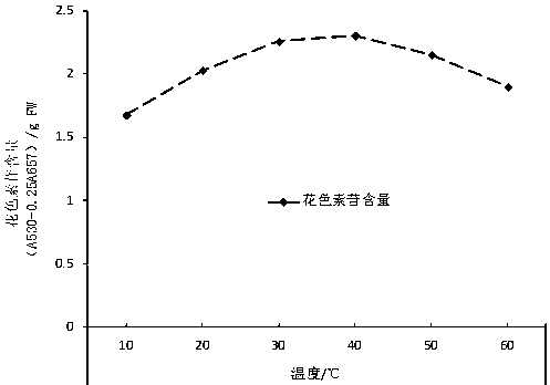 Stable extracting method for anthocyanin in hongye poplar leaves