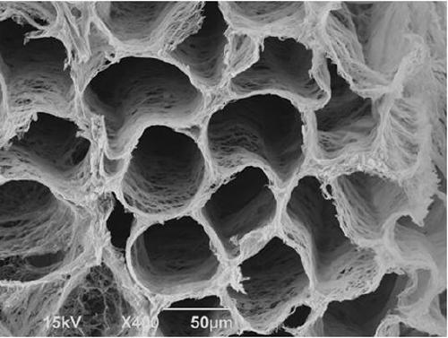 A method for preparing carp muscle extracellular connective tissue scanning electron microscope samples