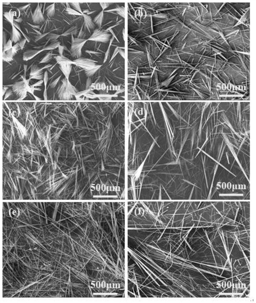 Basic magnesium sulfate whisker with high length-diameter ratio and preparation method thereof