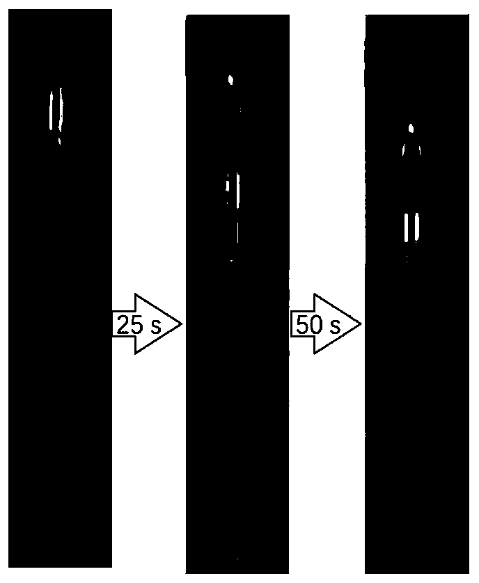 Hydrophobic treatment agent and preparation method and application thereof, and wear-resistant self-cleaning glass and preparation method thereof