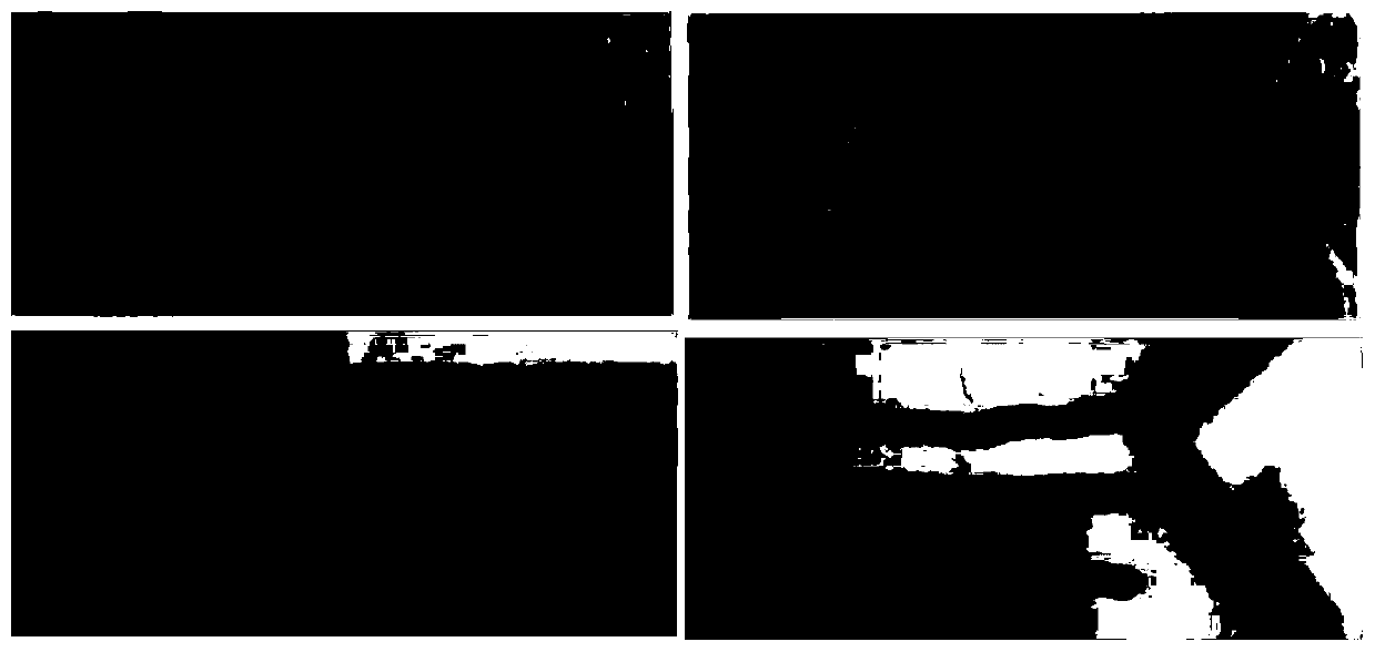 Hydrophobic treatment agent and preparation method and application thereof, and wear-resistant self-cleaning glass and preparation method thereof