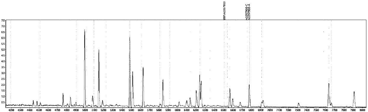 Method for distinguishing individualized medication of losartan by mass spectrometry through detection products