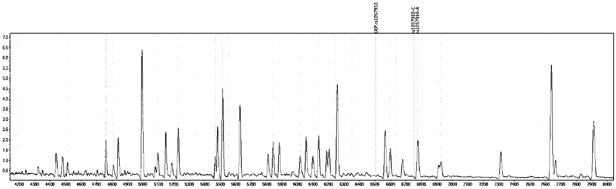 Method for distinguishing individualized medication of losartan by mass spectrometry through detection products