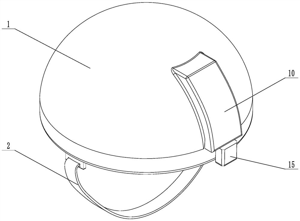 Neurological diagnosis and treatment device