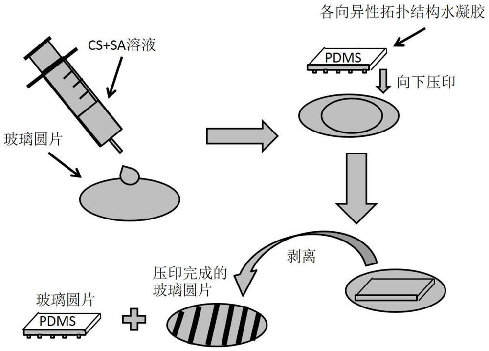 Preparation method of biomimetic tissue engineering scaffold with photothermal responsiveness and controlled drug release