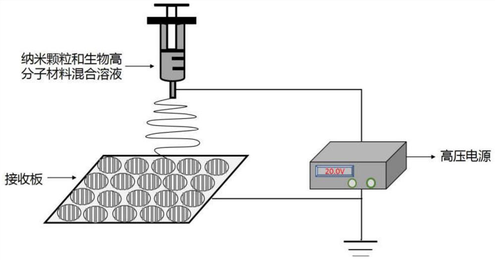 Preparation method of biomimetic tissue engineering scaffold with photothermal responsiveness and controlled drug release