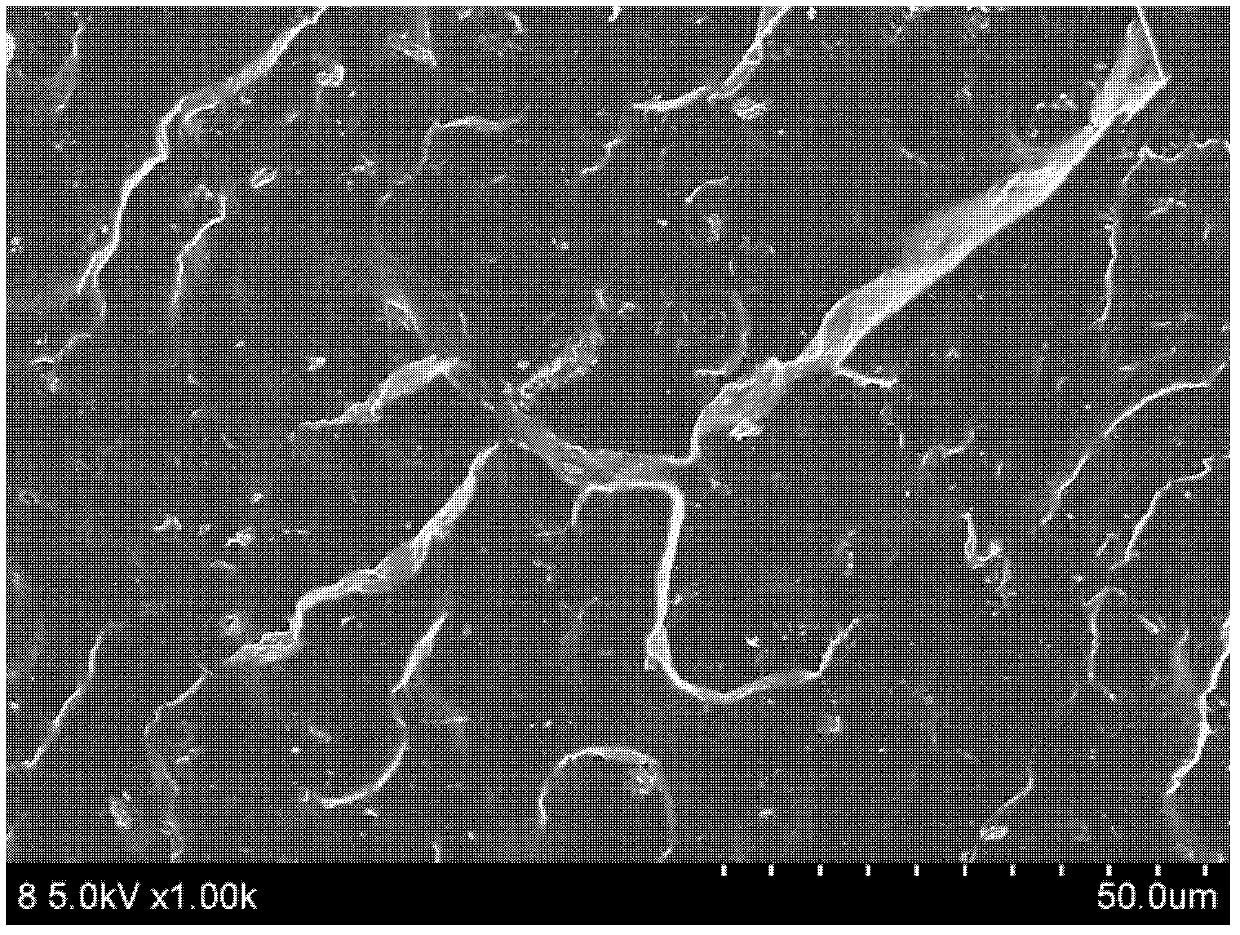 Casting polyurethane/diatomite composite material and preparation method thereof