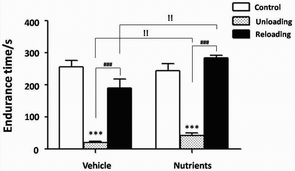 Application of alpha-lipoic acid, acetyl-L-carnitine, coenzyme Q10 and hydroxytyrosol composition for preventing and treating amyotrophy