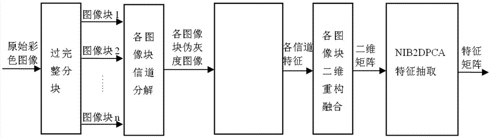 Color image over-complete block feature extraction method