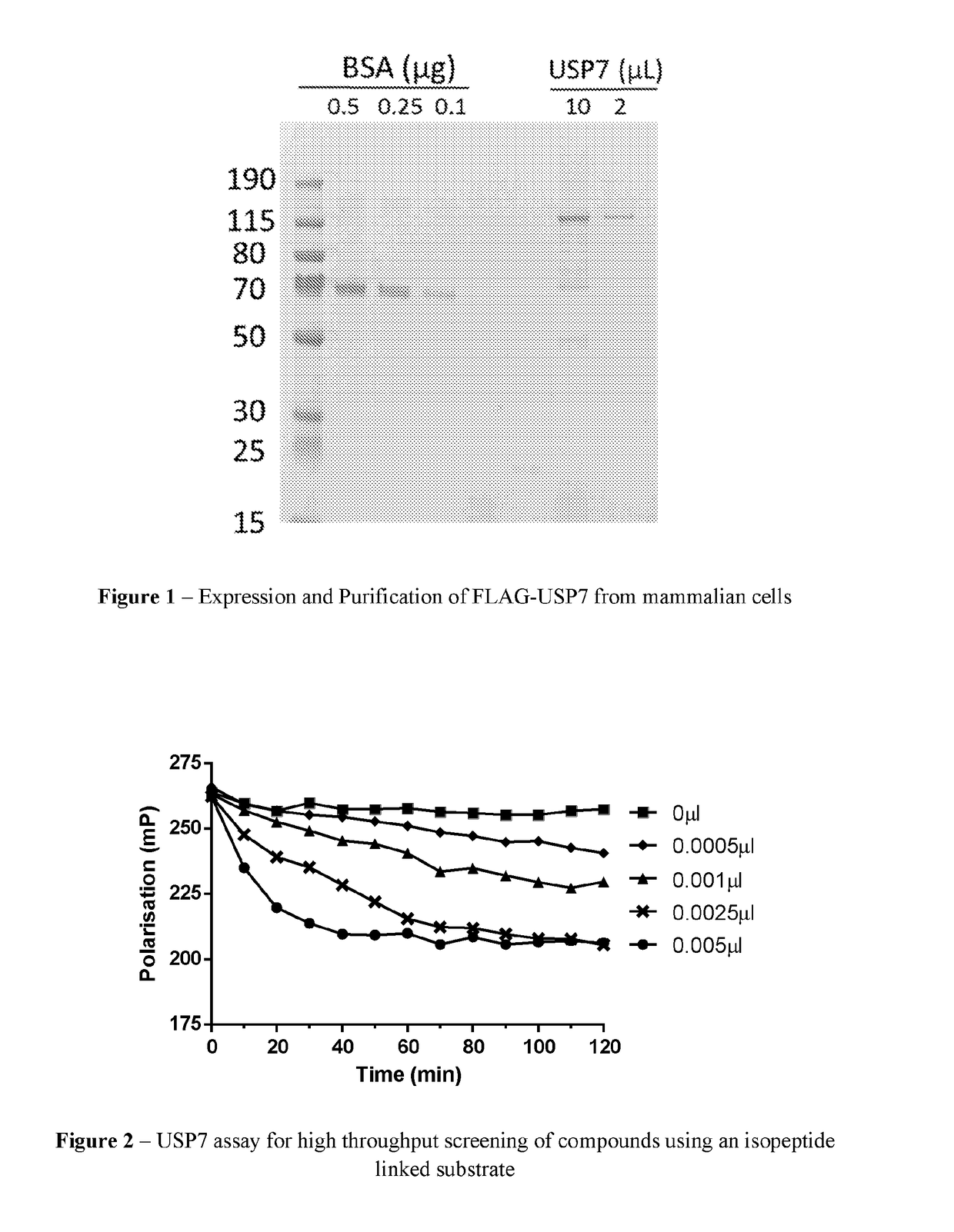 2-cyanoisoindoline derivatives for treating cancer