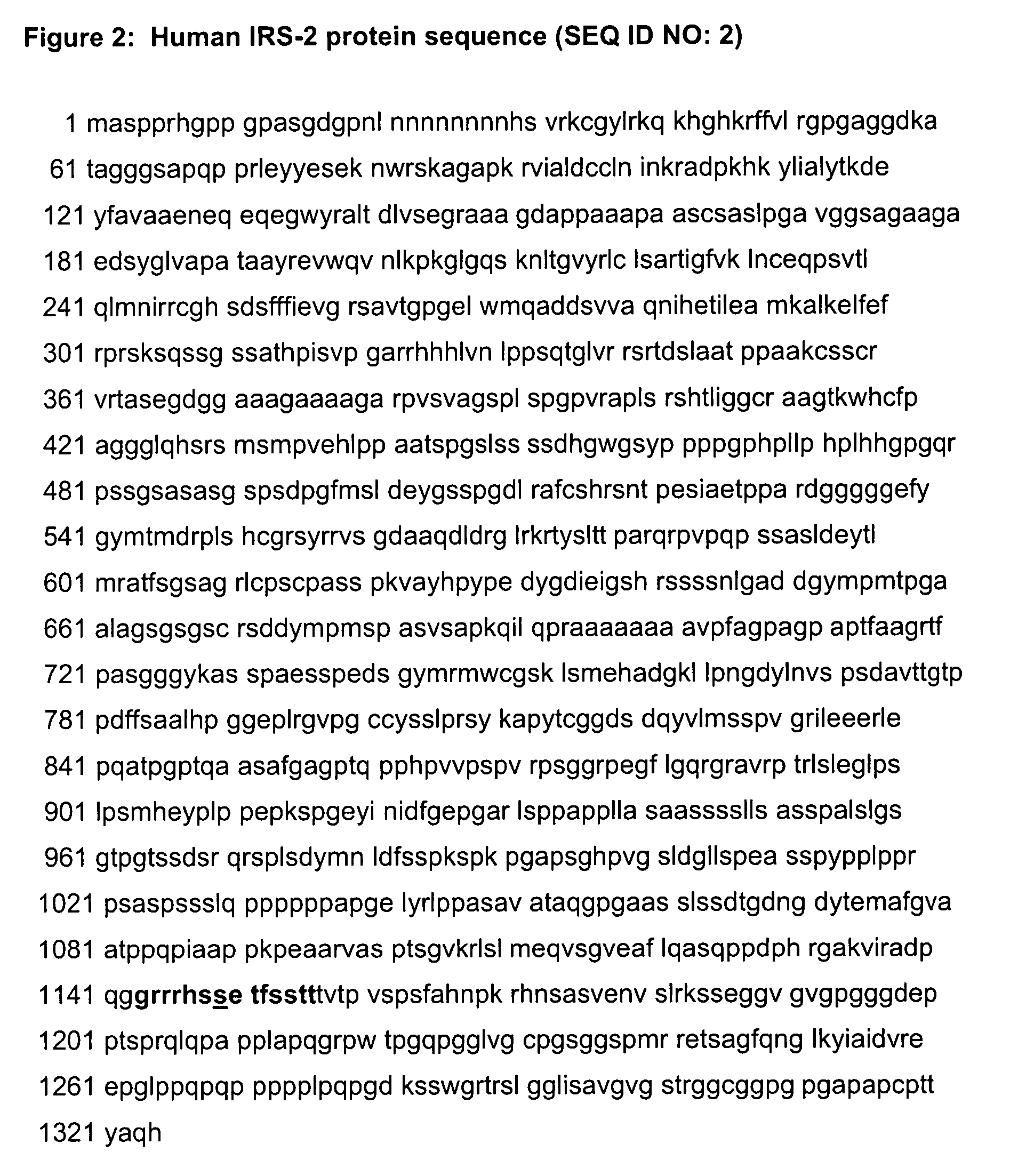 Antibodies specific for phosphorylated insulin receptor substrate-1/2 (Ser1101/Ser1149) and uses thereof