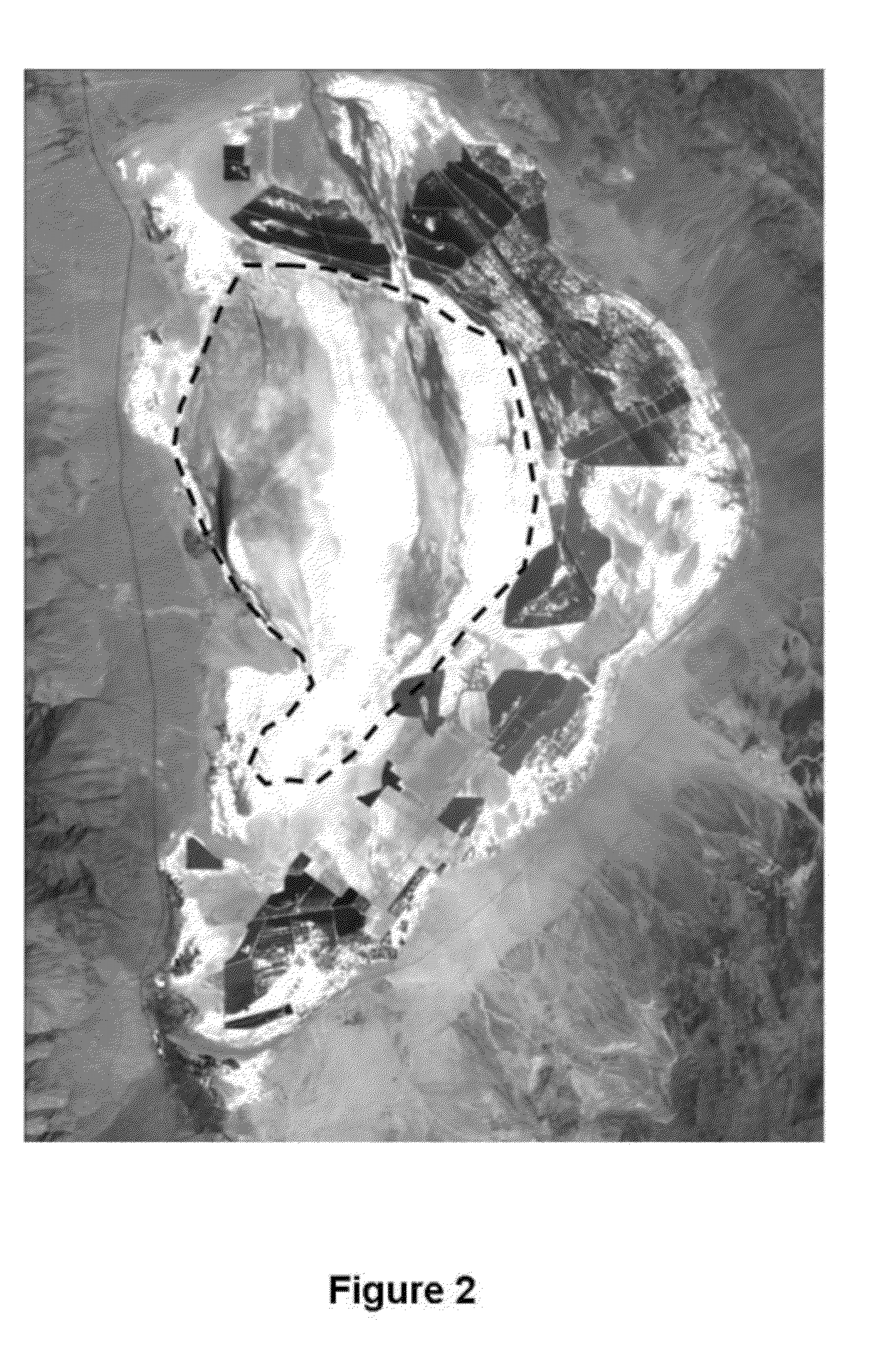 Method for dust control on saline dry lakebeds using minimal water resources