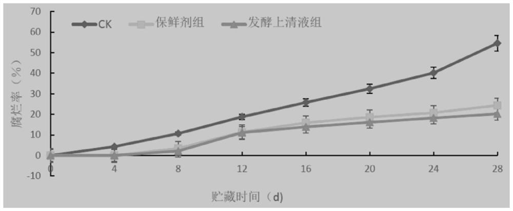 Application of Lactobacillus plantarum mg-1 in postharvest preservation of grapes