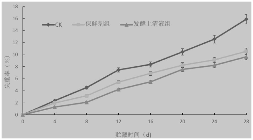 Application of Lactobacillus plantarum mg-1 in postharvest preservation of grapes