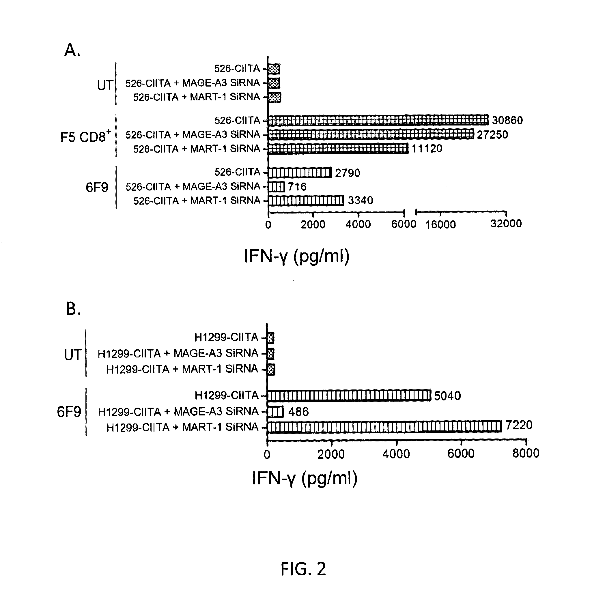 T cell receptors recognizing mhc class ii-restricted mage-a3