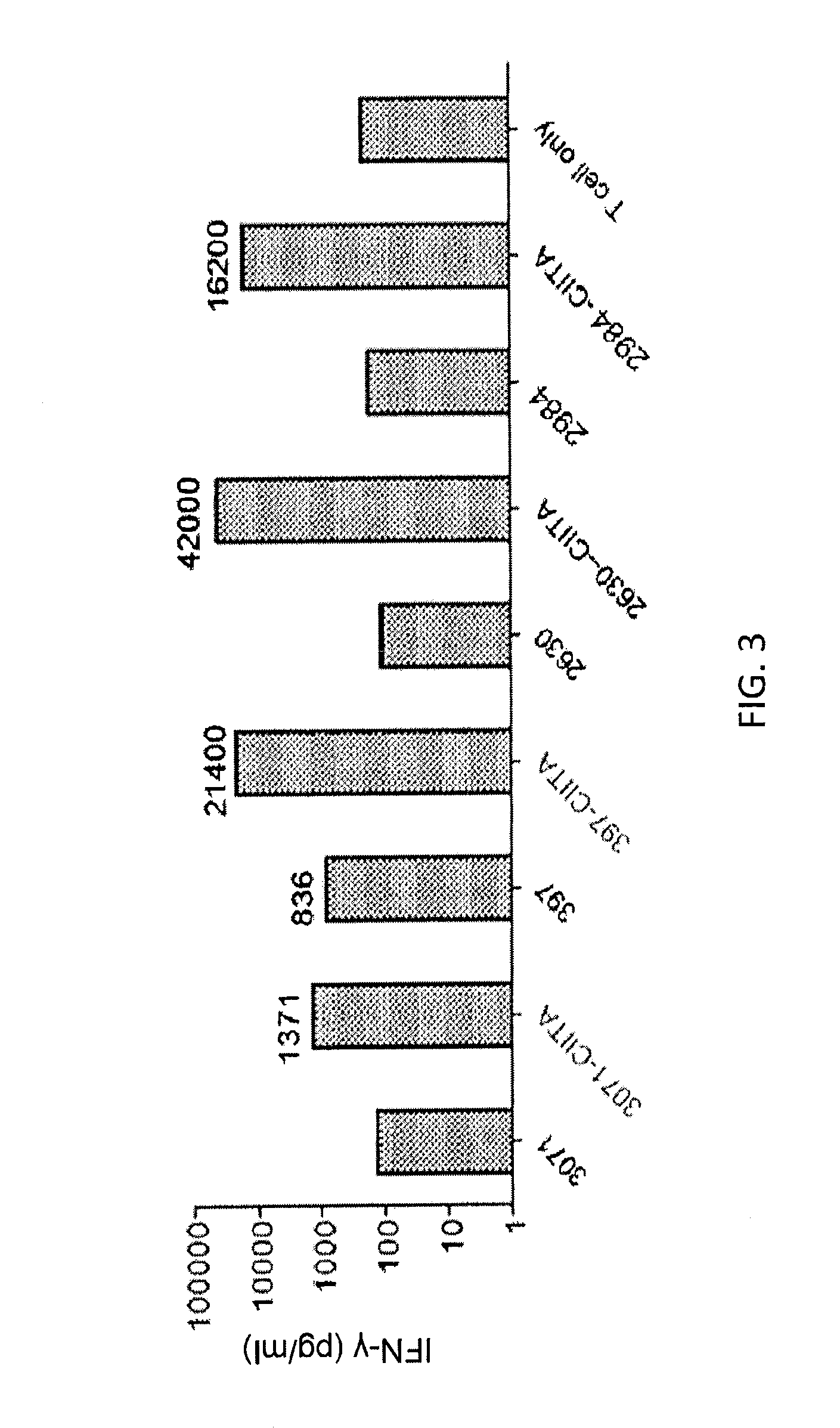 T cell receptors recognizing mhc class ii-restricted mage-a3