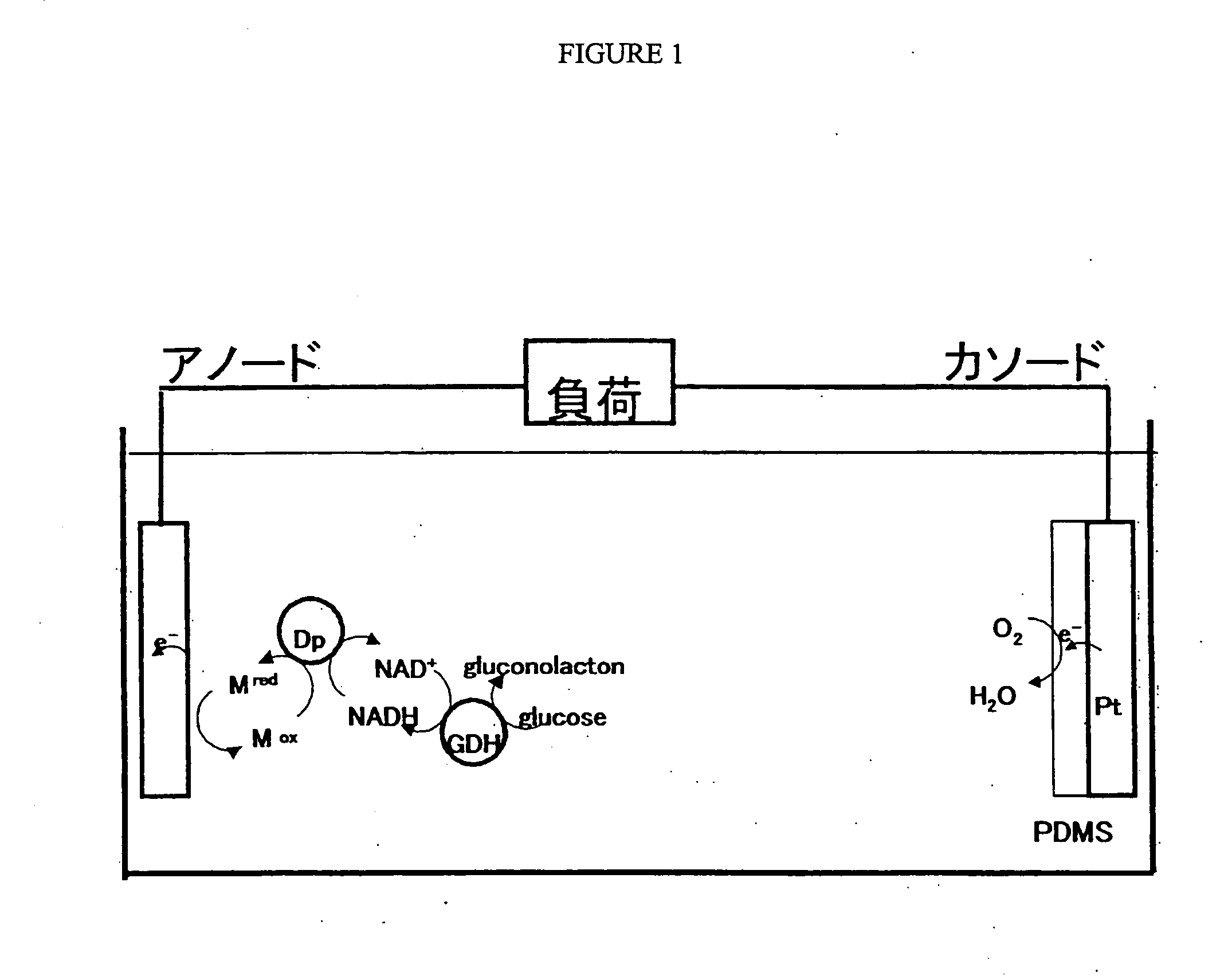 Electron mediator, electron mediator immobilized electrode, and biofuel cell using the electrode