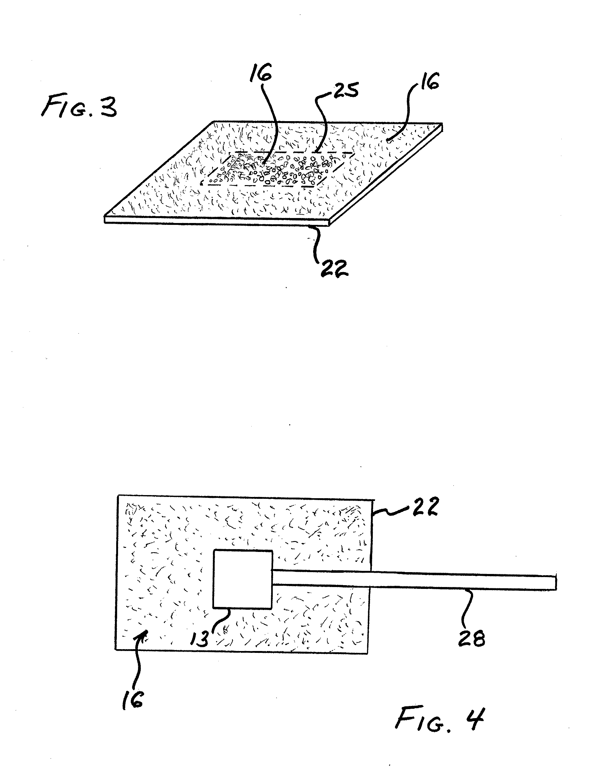 Biometric authentication device and method