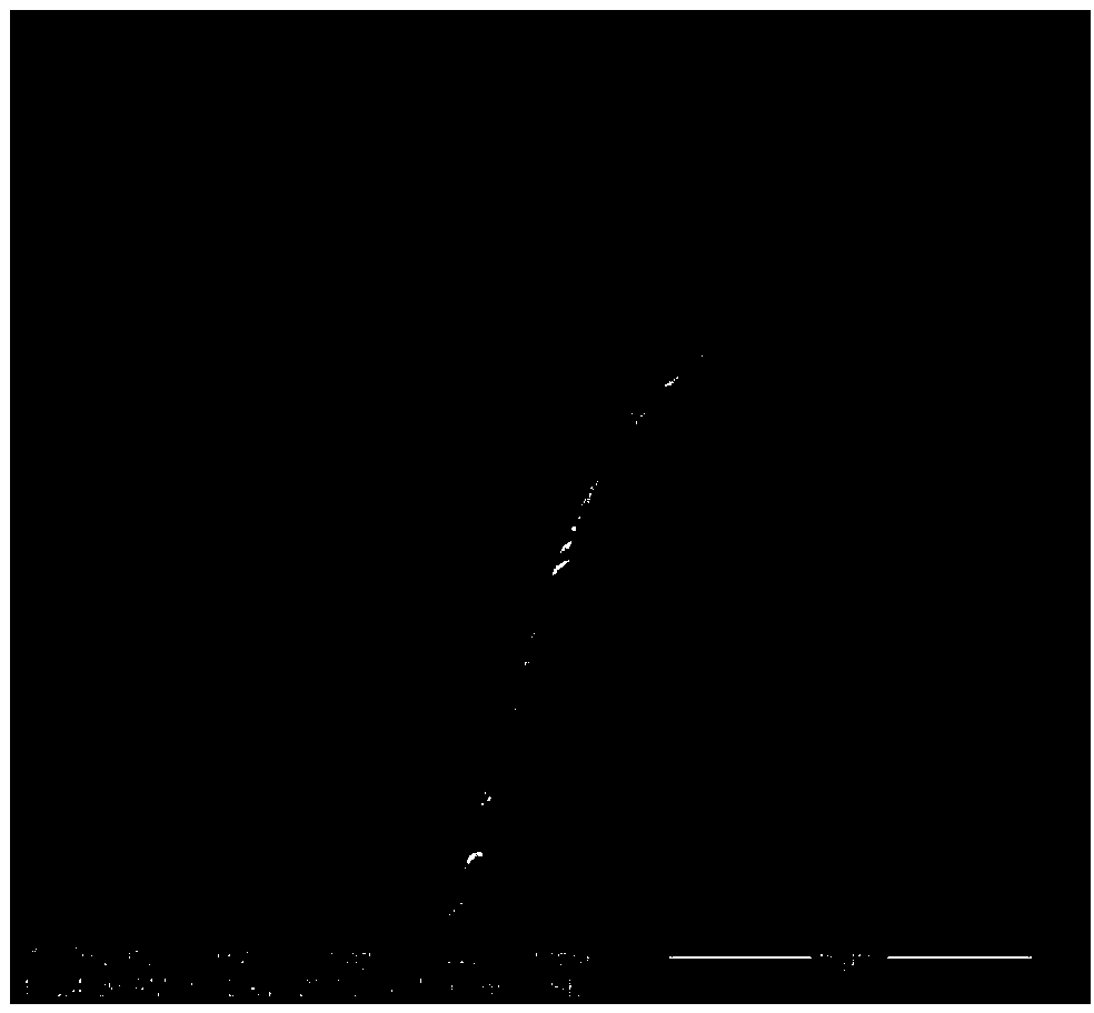 High-efficiency flame-retardant modified melamino-formaldehyde foams and preparation method thereof