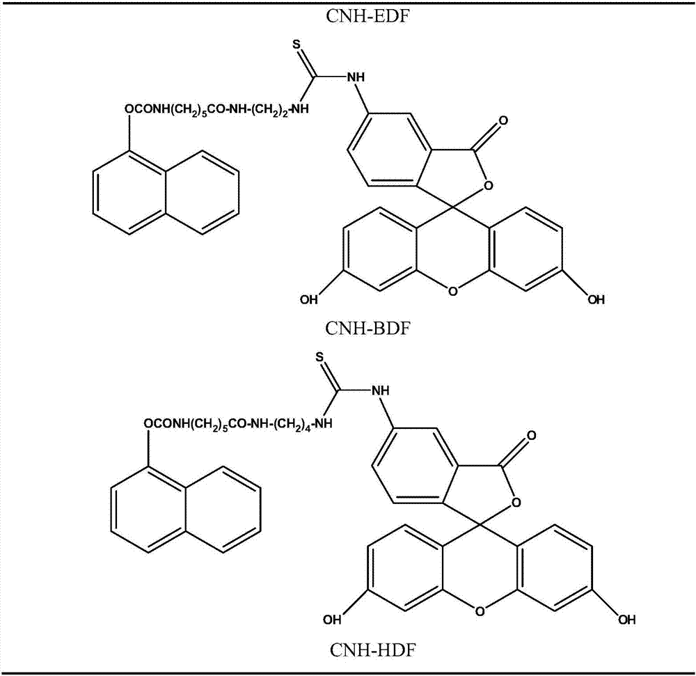 Fluorescence polarization immunoassay method for detecting carbaryl