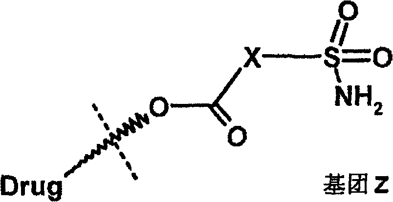 Ophthalmic composition of heteroaryl sulfamoyl carboxylic ester carbonic anhydrase inhibitor